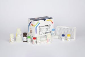 HBs Ab / pishtaz teb / پیشتاز طب / کیت تشخیص طبی 